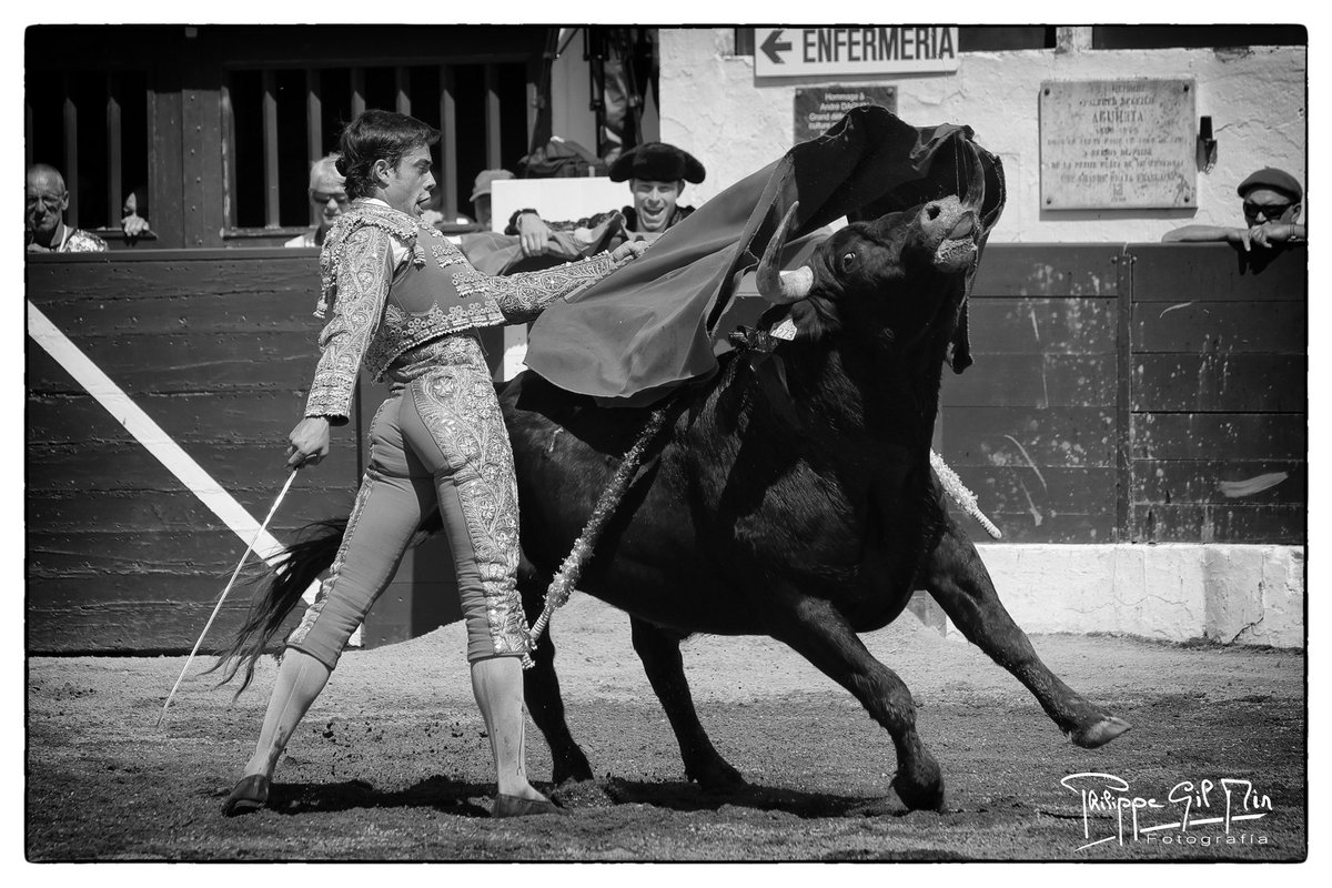 PhilippeGilMir's tweet photo. 🔴 Vic-Fezensac 25-05-2026 matinal

🐃 Erales de Lartet para ⚔️ Álvaro Yecla, Julio Aparicio y Manuel Real “Realito”

📸 @PhilippeGilMir Galería aquí 👉 https://t.co/Wo0lt0dQEa https://t.co/O9Op0GSYTH