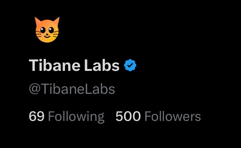 TibaneLabs's tweet photo. Thank you for 500 followers on @X!

Next stop 5000! 😸 https://t.co/JdWQKDD72g