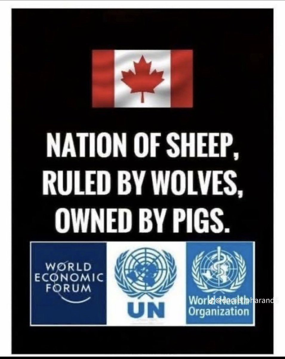Greg Falk 🇨🇦🇨🇦 tweet media