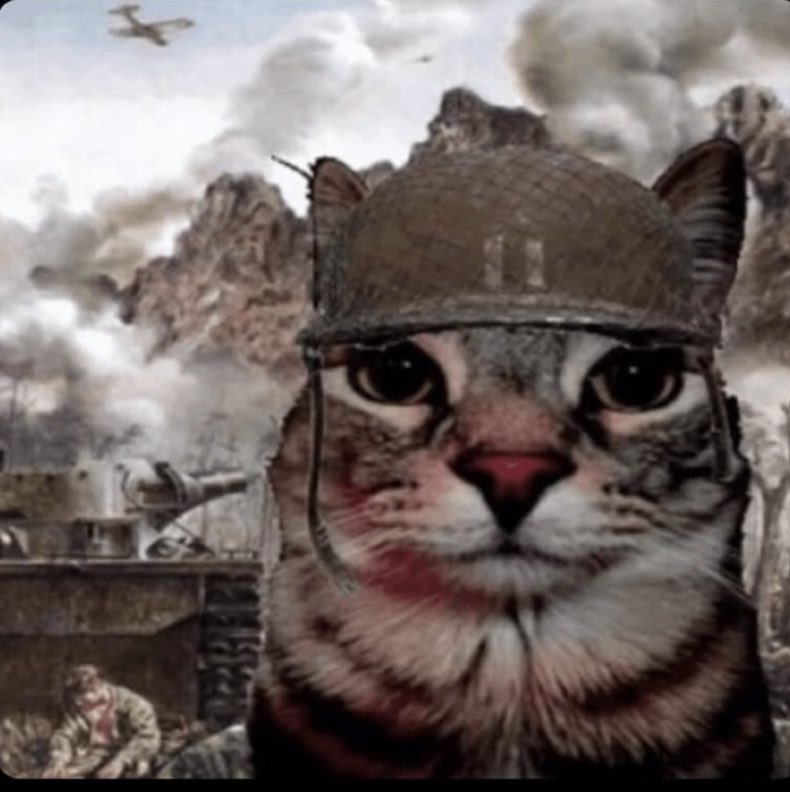 EdBTri's tweet photo. Isso me deu lembranças de guerra https://t.co/nI5bs6Ce2L