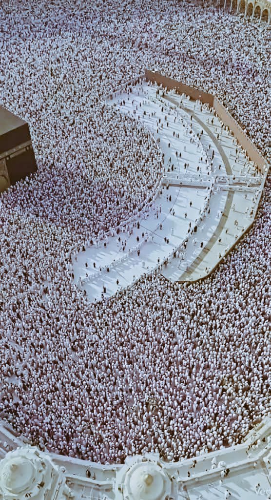 sozan109's tweet photo. ومن سيصدقني يا خديجة 🩷
#صلوا_على_الحبيب_محمد 
#يوم_عرفة 
#suzan⚘️ https://t.co/W5FPWnNum1