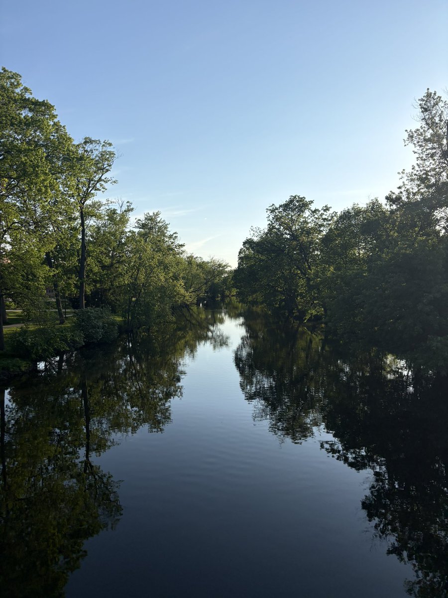 Red Cedar Final Goose tweet media