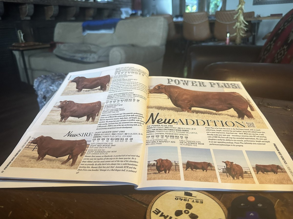 Bitcoin Ranch tweet media