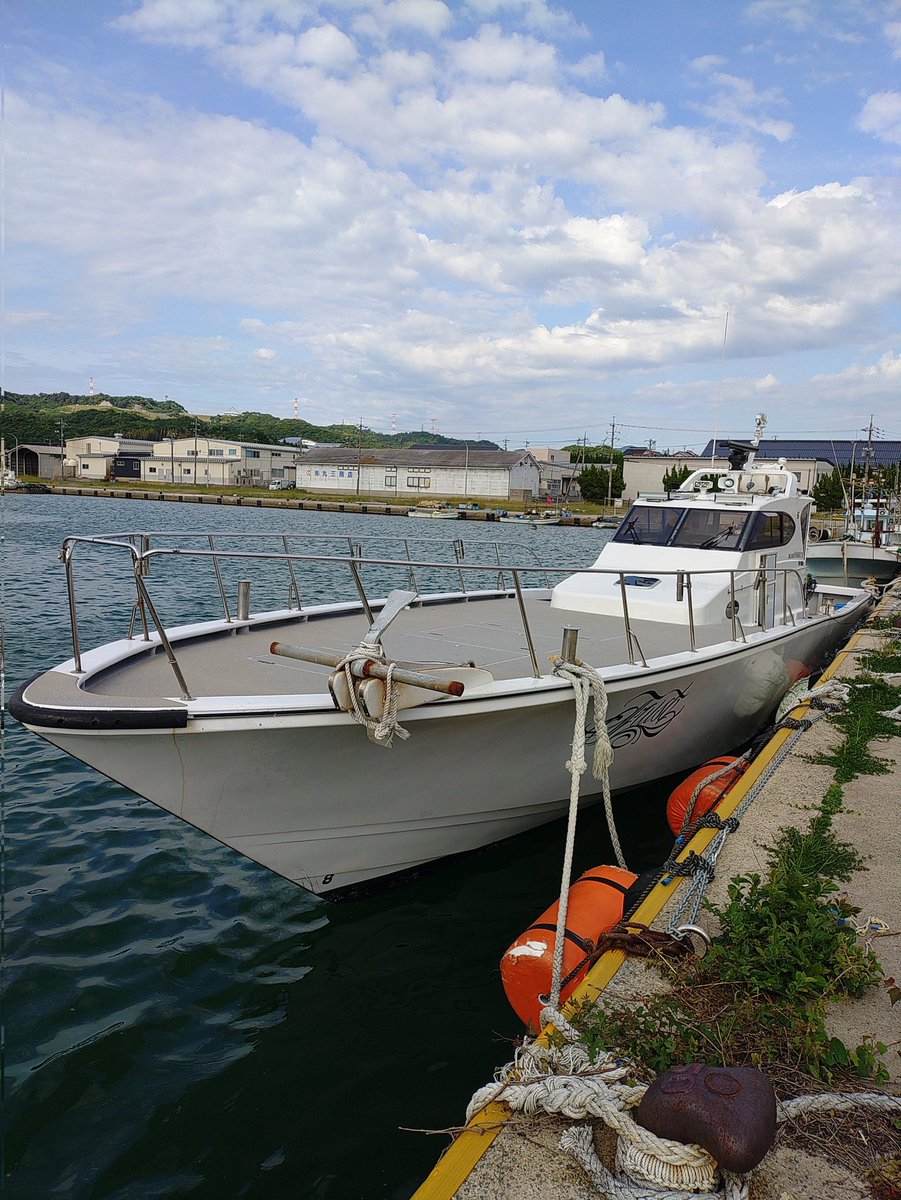 ks522sds's tweet photo. 隠岐の島ツアー　色々釣れました♪ https://t.co/xpHPfXDBxl