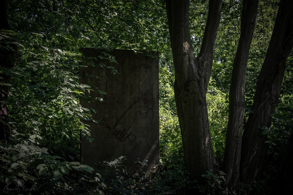 Maciej_Smolen's tweet photo. Droga na Basen.

#MaciejSmolenPhotoGraphics #PoznanOnMyMind  #ProtoUrbex

#Poznan #Golecin #StreetPhotography
#MiastoPoznan #PoznanCity #ILovePoznan
#Nikon #D7200 #NikonD7200 #Sigma17_50

Nikon D7200 | Sigma 17-50mm f/2.8 DC EX OS HSM https://t.co/3TVvhyXu98