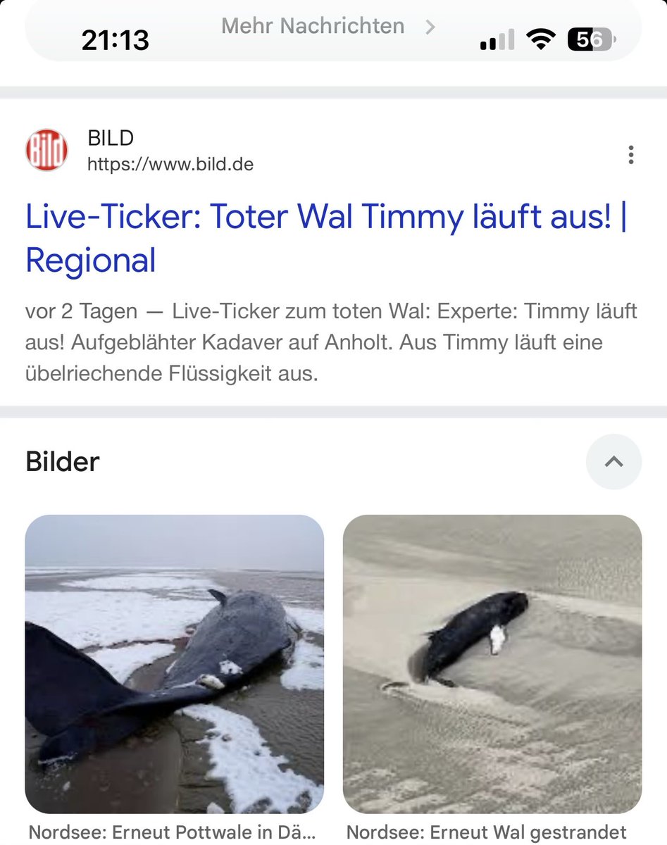 grey tweet media