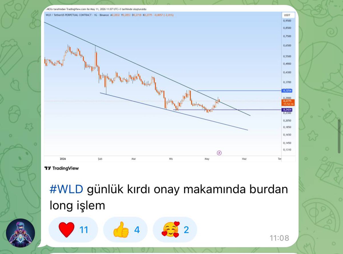 Barok🇹🇷 tweet media