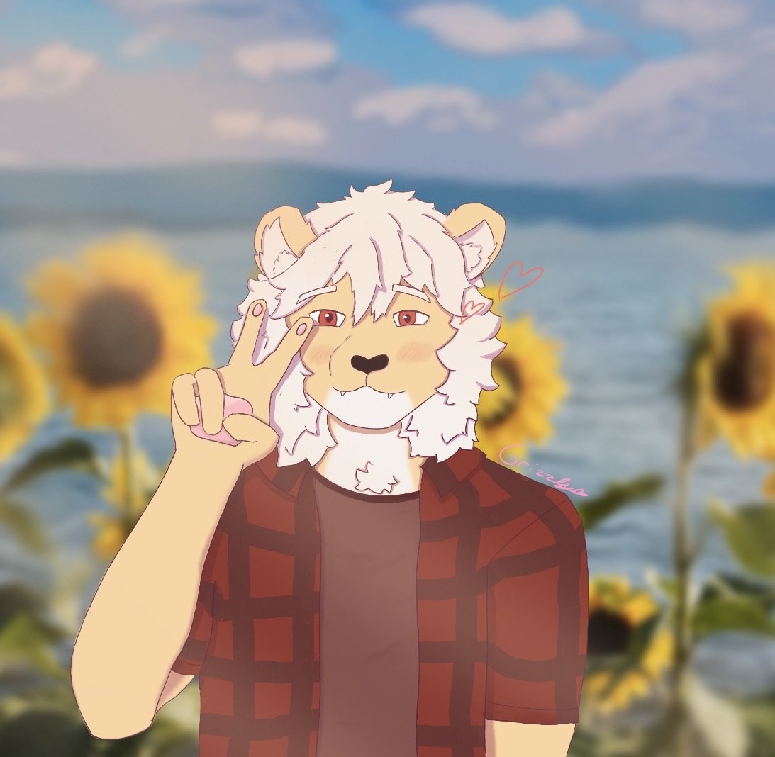 Grizzly₊˚⋆♡ tweet media