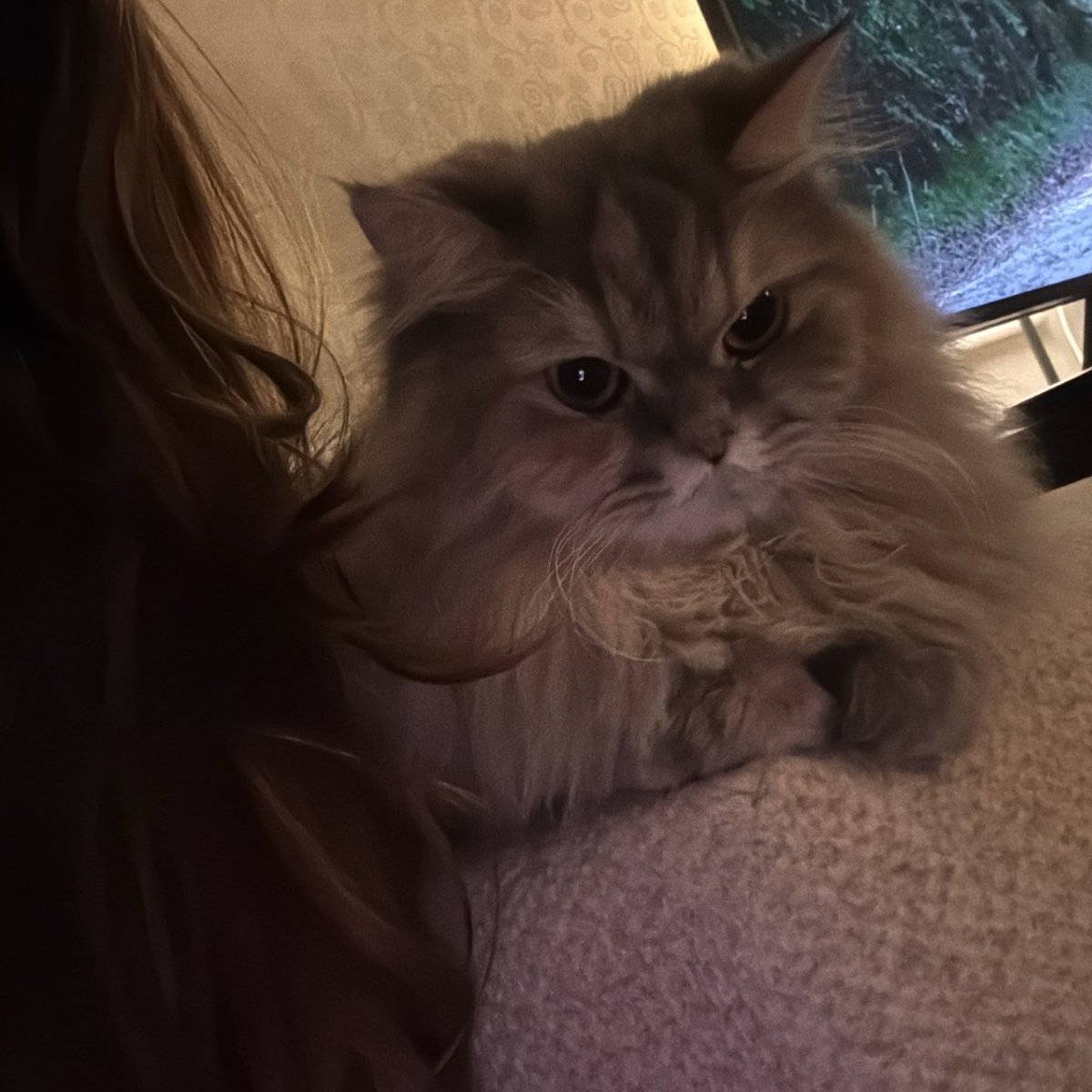 iucherri's tweet photo. 🪄❣️🦢 https://t.co/NOxnwXvkFB
