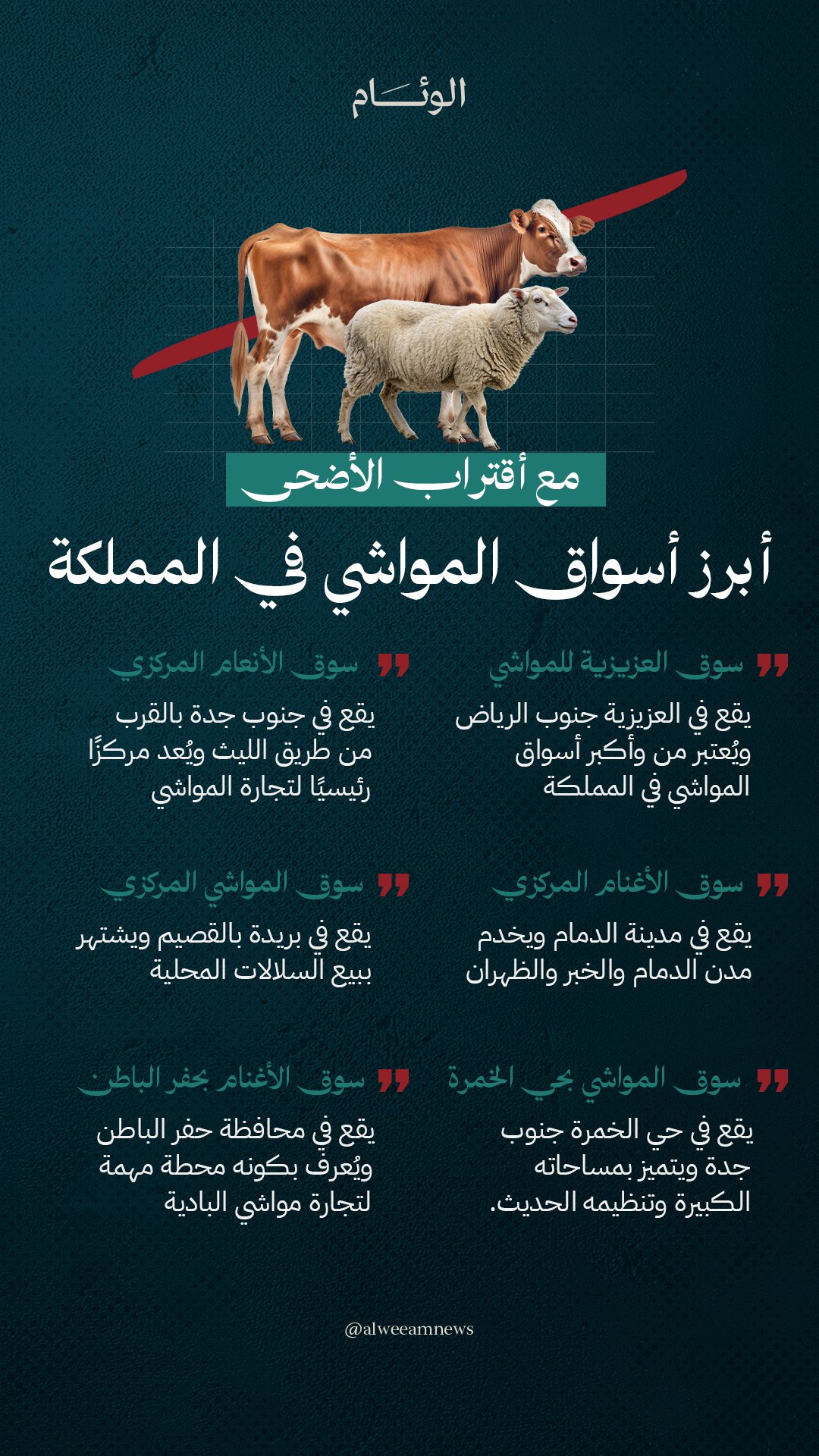 مع أقتراب الأضحى.. أبرز أسواق المواشي في المملكة 