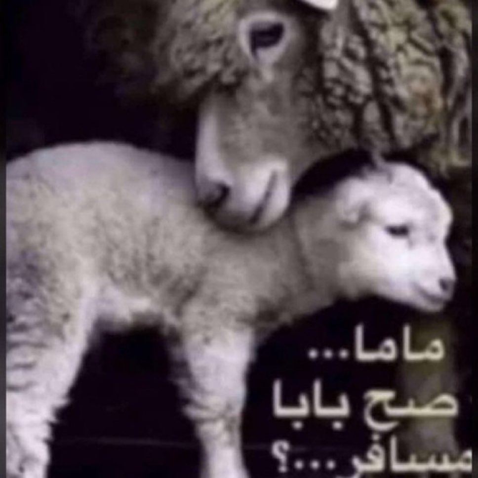 عغعغع tweet media