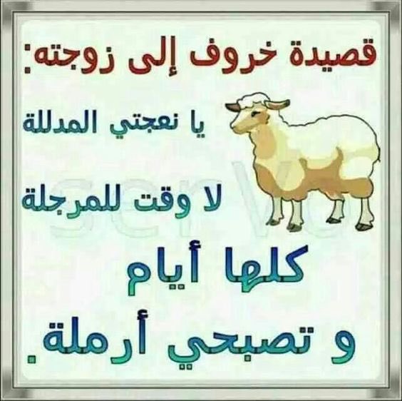 عغعغع tweet media