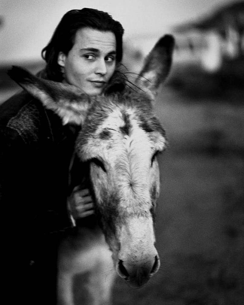 𝕷𝖎𝖙𝖙𝖑𝖊 𝕻𝖊𝖊𝖕𝖘 🏴☠️#JohnnyDepp tweet media