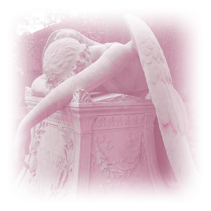 🎀🩷 Pink Angel 🩷🎀 tweet media