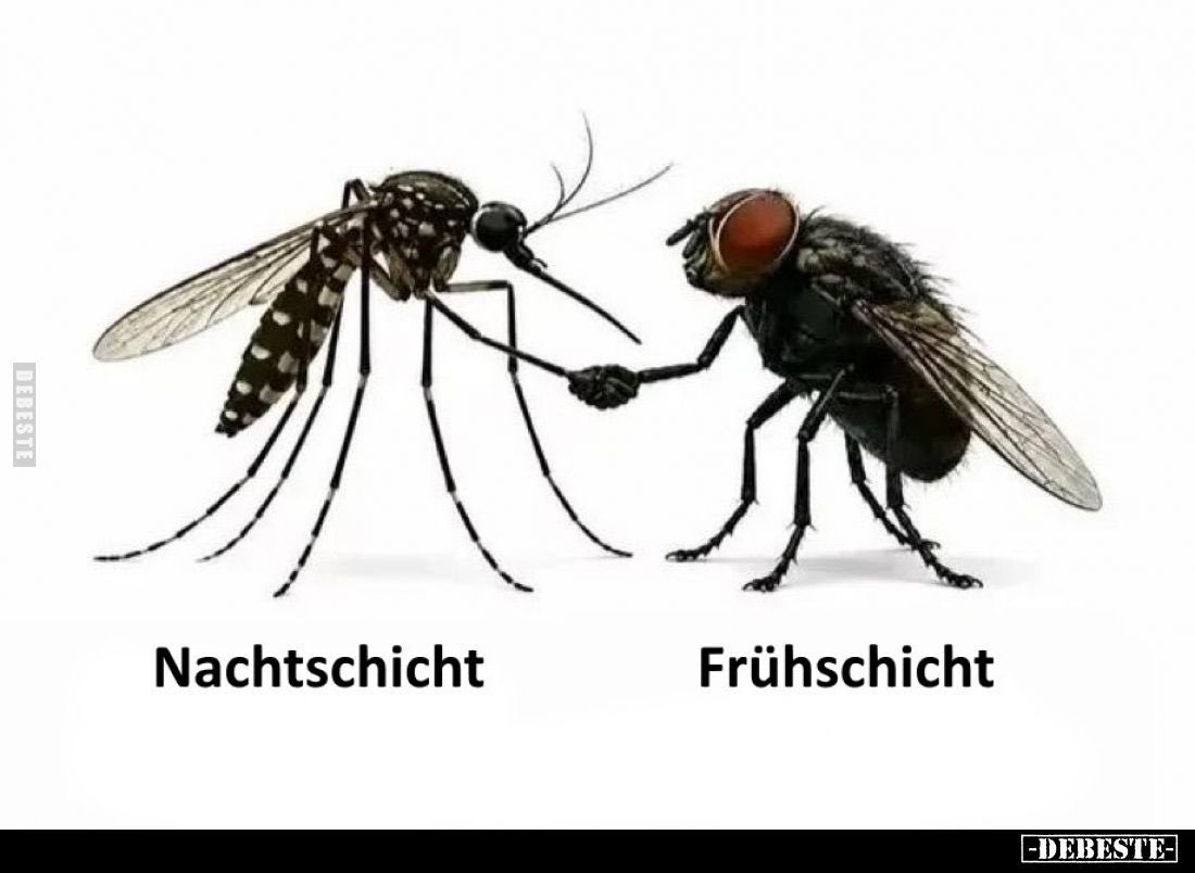 blauesschäfchen tweet media