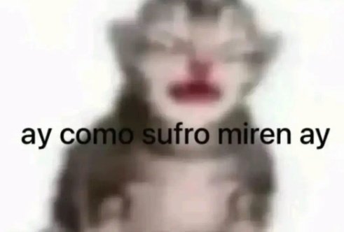 jal ama litc bbsito tweet media