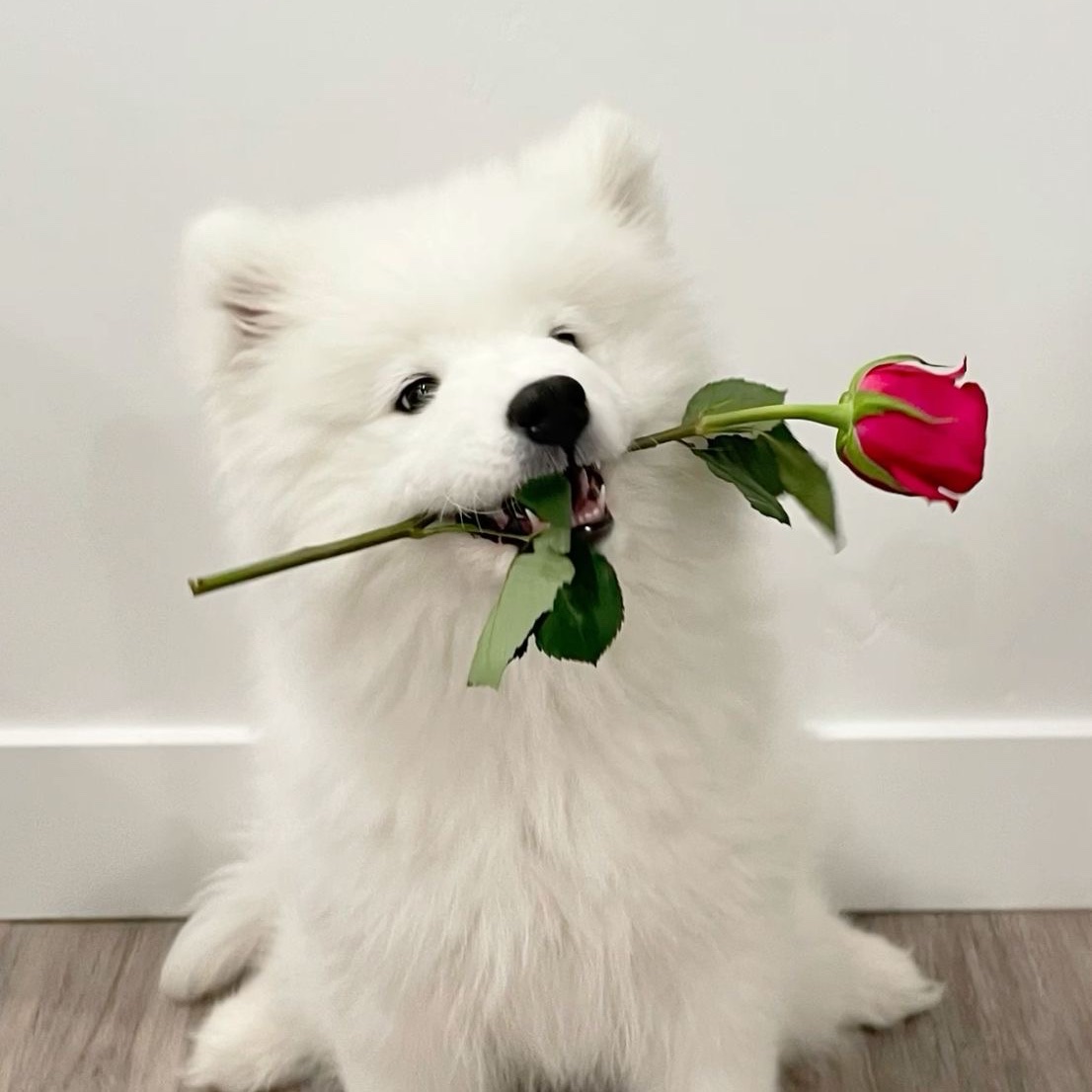 suminunni's tweet photo. https://t.co/iXwuSmnfaa