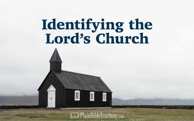 andysochor's tweet photo. Identifying the Lord's Church: Conclusion https://t.co/SY3krxqkxS via @plainbibleteach https://t.co/asDvS0t17E