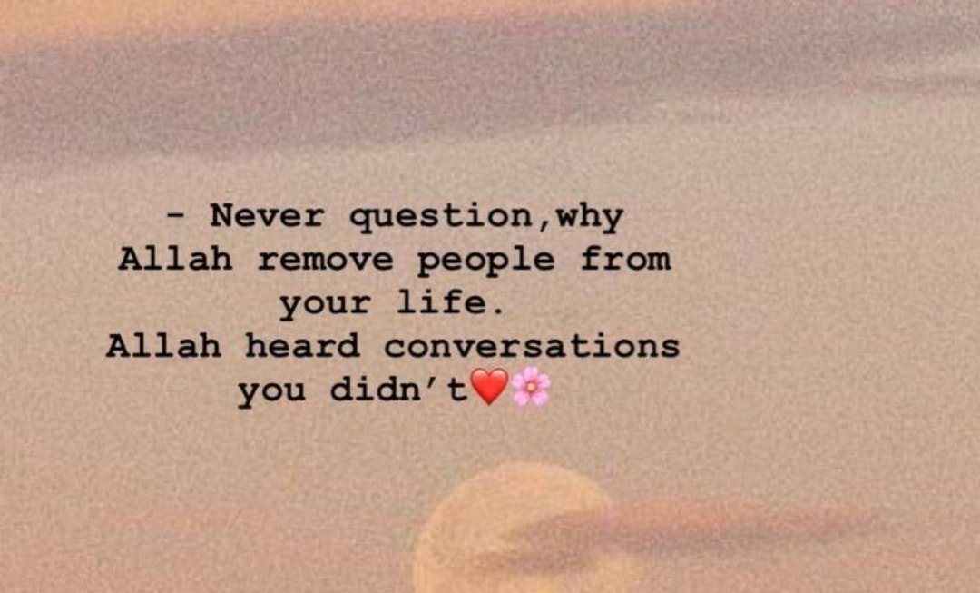 Fatima sabs💞 tweet media