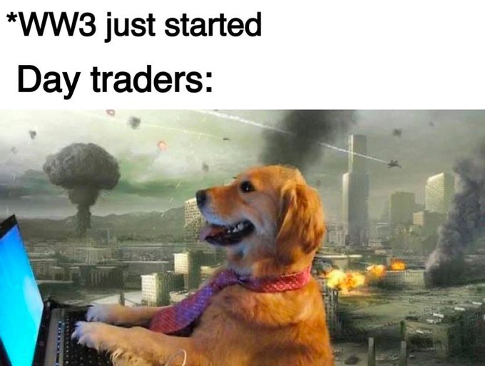 Tooly tweet media