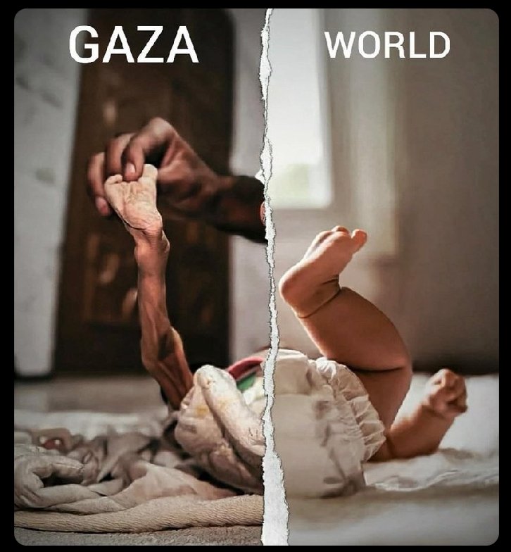 MrSpiritsRaven's tweet photo. #DontLetThemGetAwayWithIT
This Is Why I Fight For #PalestineGaza🇵🇸🕊️
#VivaLaRevolution 
🔻🇮🇱 IsraHELL☠️🔻 Exist. 
There is no such place as #Israel
#PalestineGaza🇵🇸🕊️ BELONGS TO THE 
#Palestinians 
From The River To The Sea....
#PalestineGaza🇵🇸🕊️ WILL Be Free 🙏🏿🫂💞⚖️ https://t.co/gsHWcUVt3q