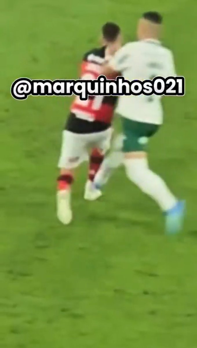 Hugo Barcellos tweet media