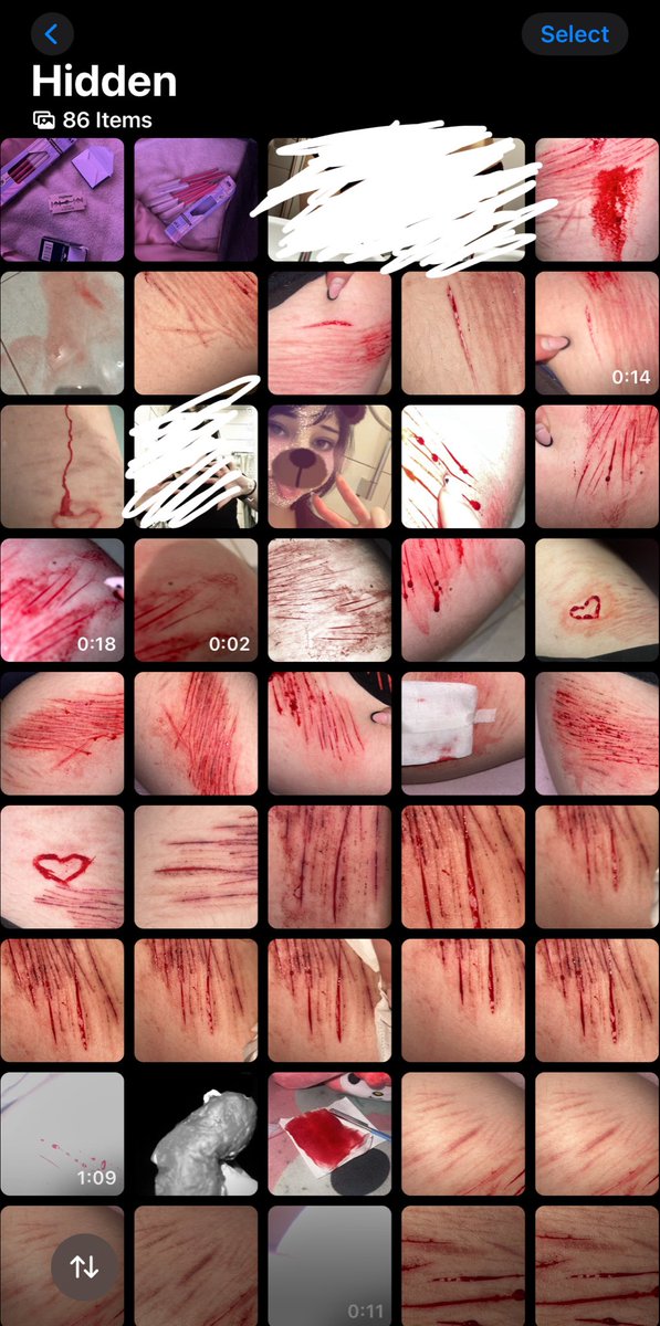 Kai razors of 🪒twt🇵🇱(-5/24kg) tweet media