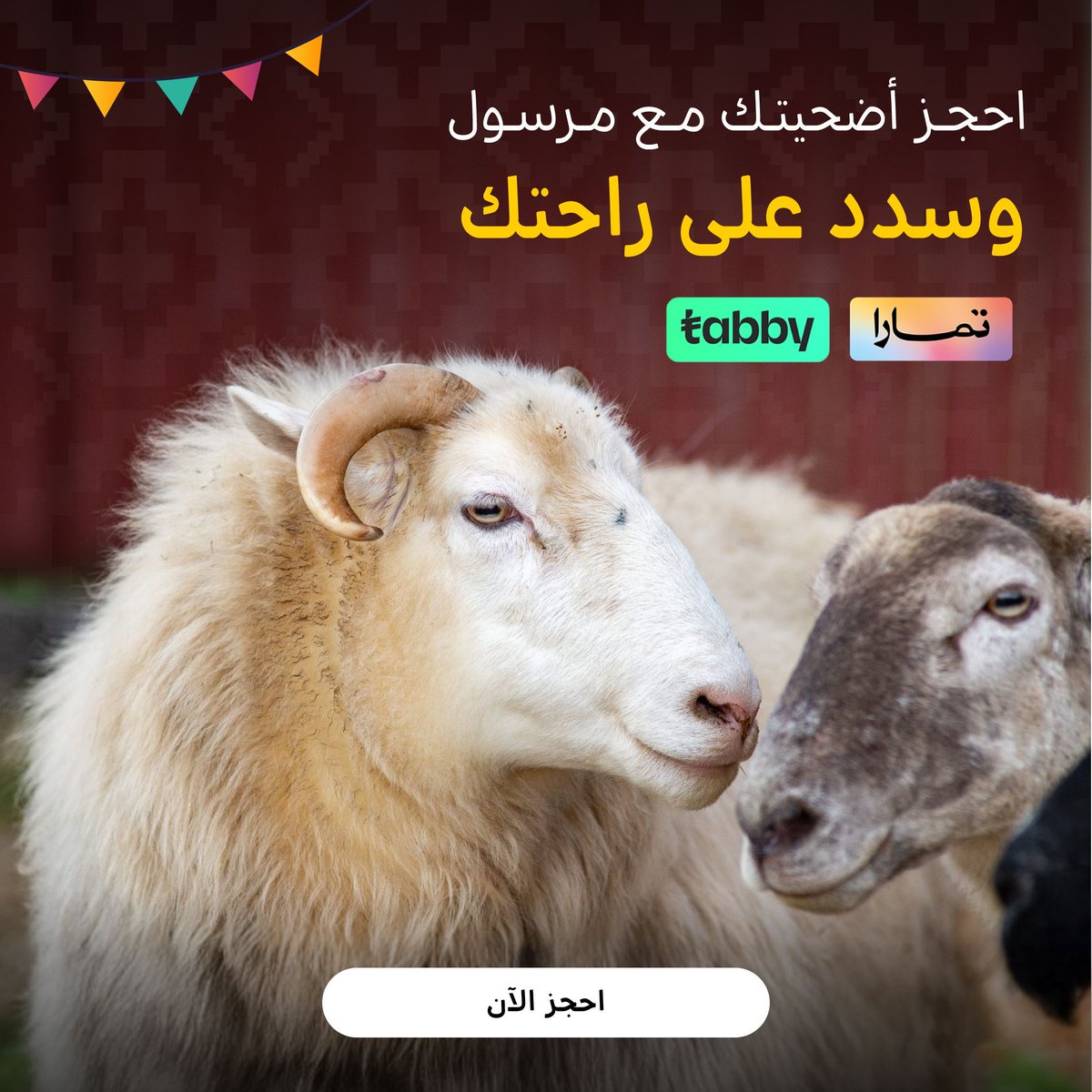 مرسول tweet media