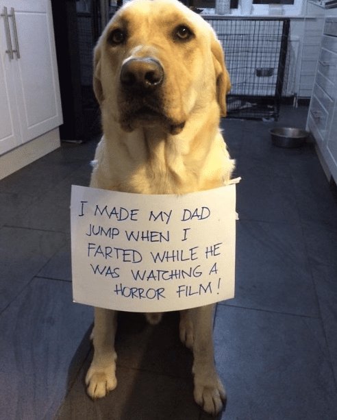 WholesomeMeme's tweet photo. https://t.co/GlqSoeRexf