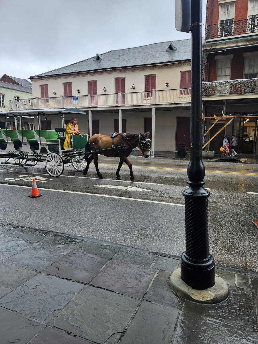 jckrbbitjukebox's tweet photo. New Orleans isn't half bad https://t.co/orLoMkseo3