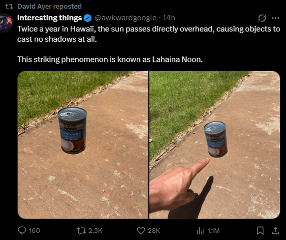Menefreghista tweet media
