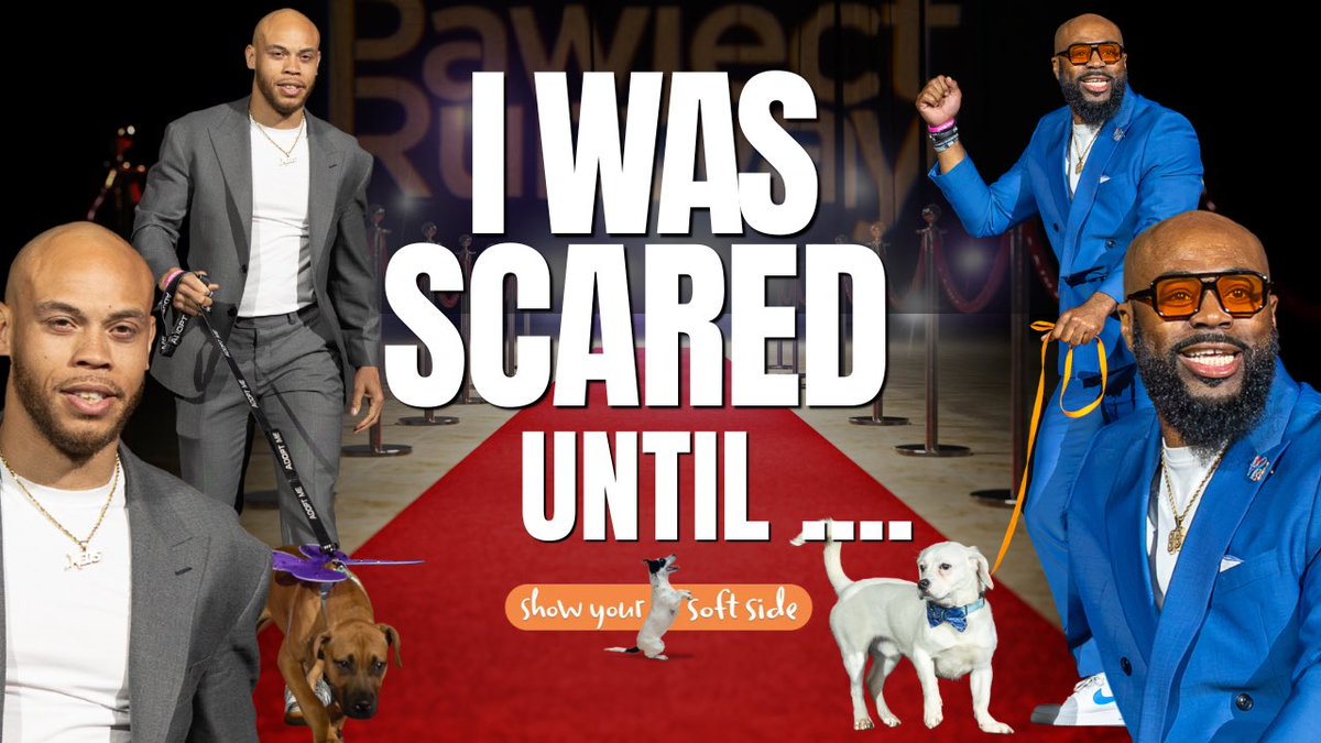 ShowTimeSheed's tweet photo. I Was Scared Of Dogs Until @SoftSide1 Showed Up In My Life. Check Out Our Latest Episode. To Hear More 🙏🏾🧡🗣️

https://t.co/ZJviNPYCwM https://t.co/UMBZG5sDDk