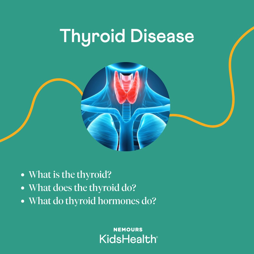 Nemours's tweet photo. The thyroid is a small gland that can affect the body in many different ways. As part of World Thyroid Day, get expert information on thyroid disease, which happens when the thyroid isn't working properly: https://t.co/Y9CJyRzzBJ https://t.co/xOnaql98pg