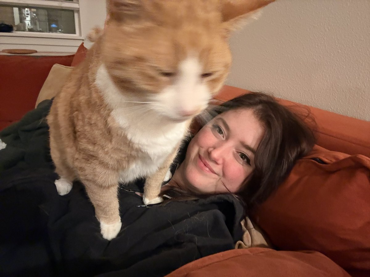 cheddar 🧅 tweet media