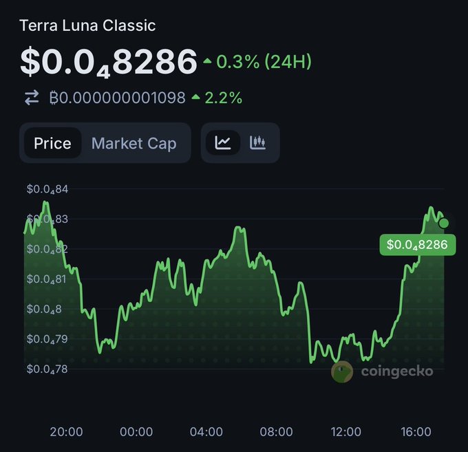 Hailey LUNC XRP tweet media