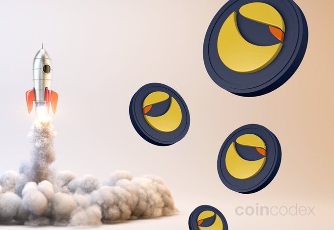 Hailey LUNC XRP tweet media
