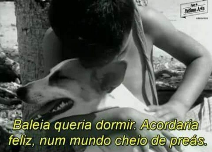 jornalnota's tweet photo. Momentos de livro que nunca superei 😢 https://t.co/18xORaxnVU