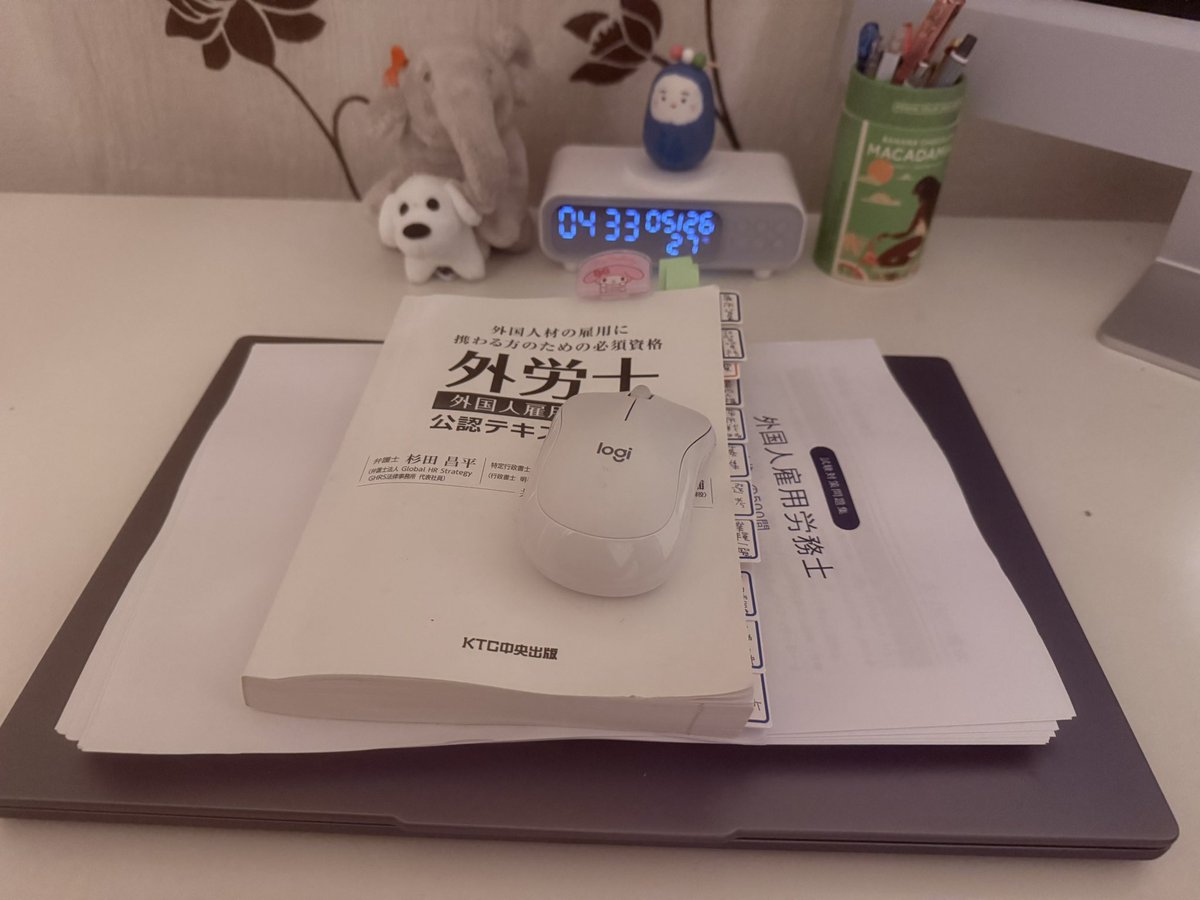 あやの🐣早起き行政書士☀️ tweet media