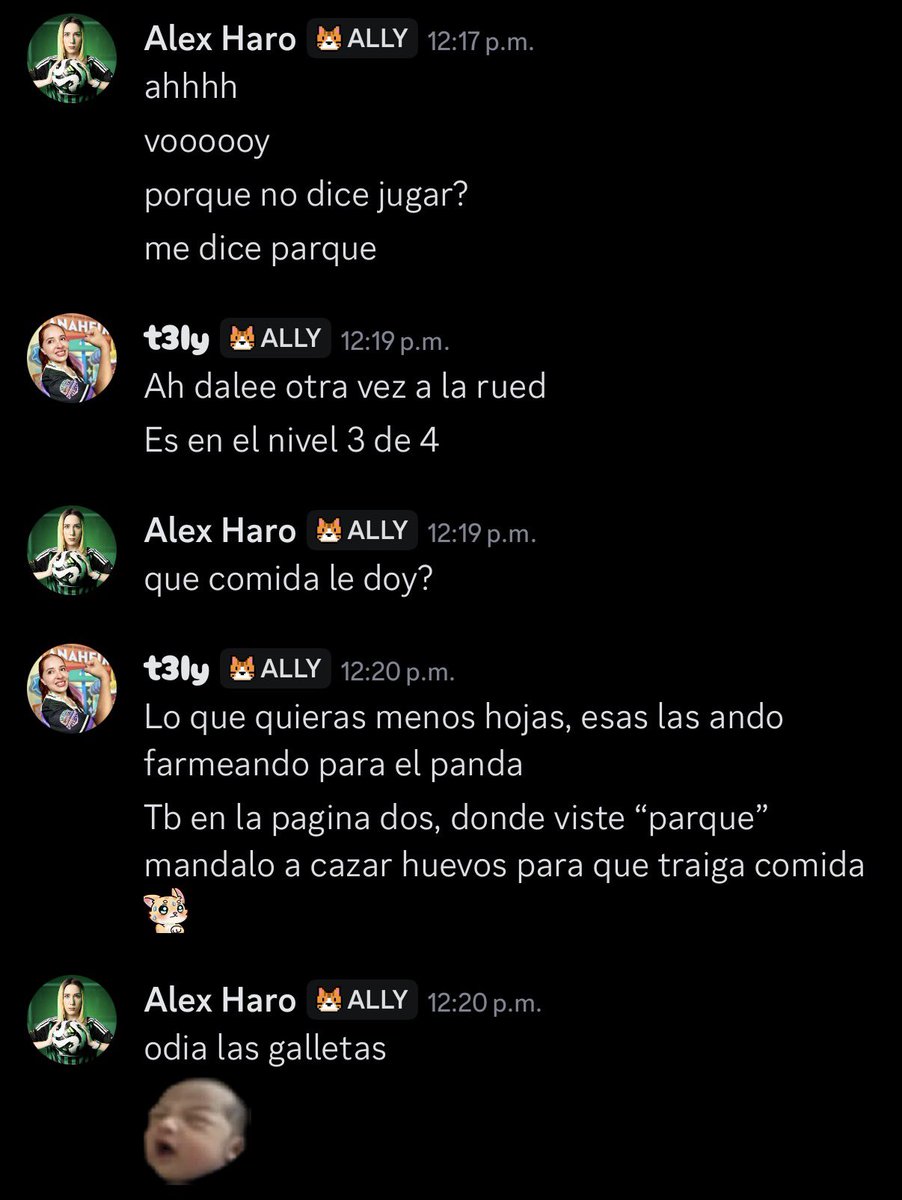 t3ly's tweet photo. Hoy @alexzvharo me salvó de perder a mi segundo Tama 🥹 Gracias totales. https://t.co/cfZ6hQTwfD