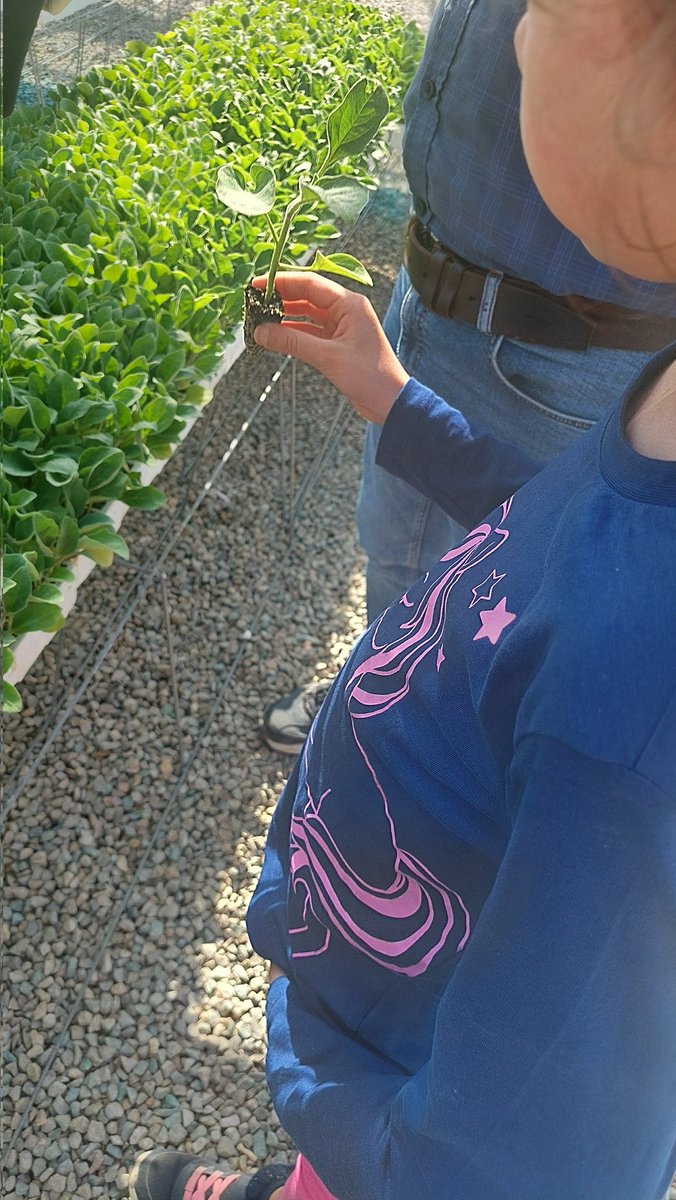 PaidosCoop's tweet photo. Un pomeriggio così merita di essere raccontato con il cuore: i nostri bambini al Green Garden hanno trasformato la terra in magia.  

Tra piantine profumate, piccoli vasi colorati e mani immerse nel terreno, hanno scoperto quanto sia bello prendersi cura di qualcosa che cresce. https://t.co/hvA17OLkmB