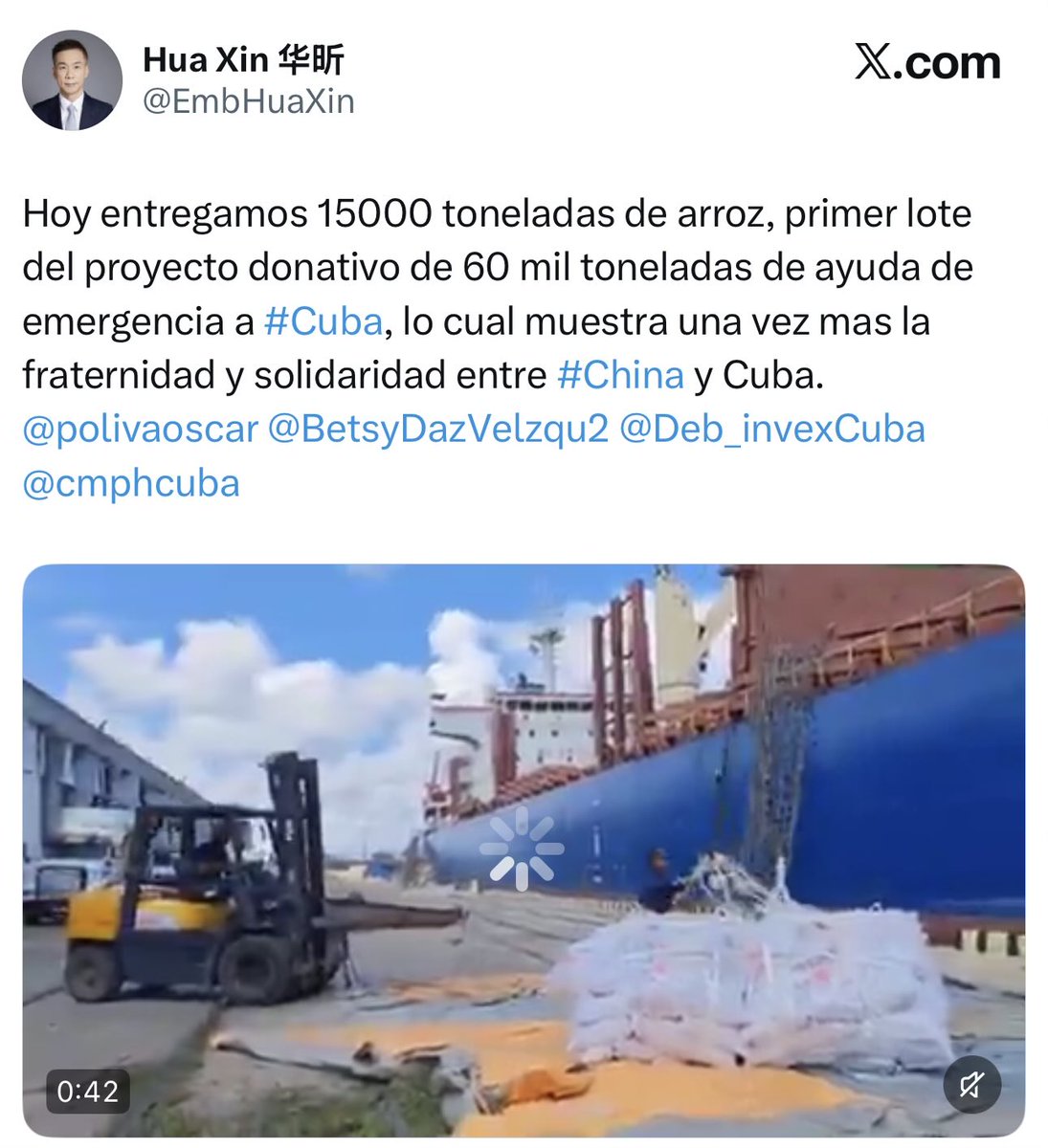 Rocco tweet media