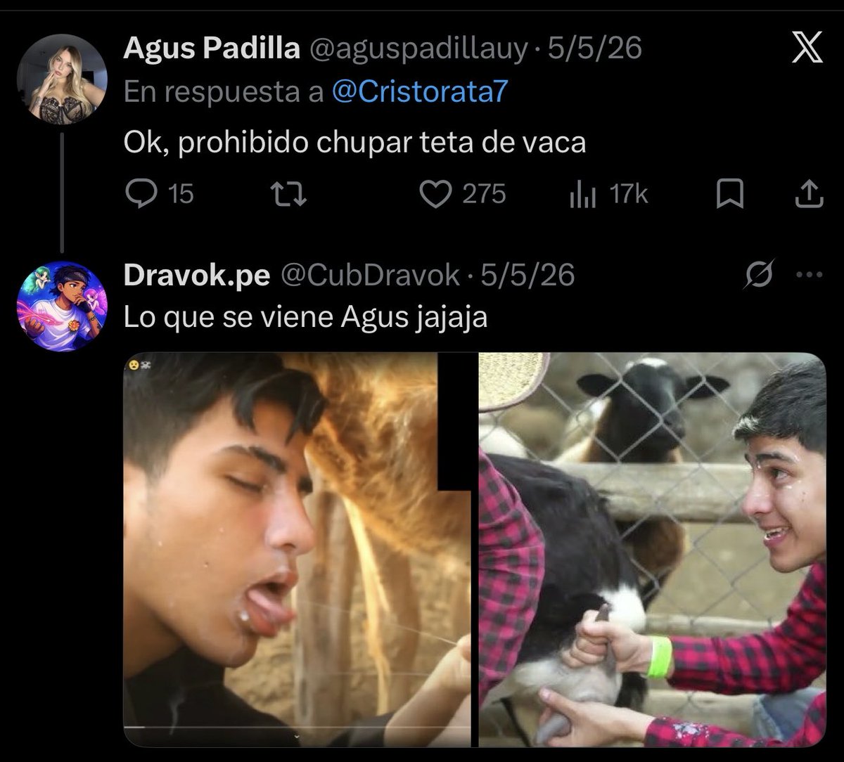 GabrielCelsdon tweet media