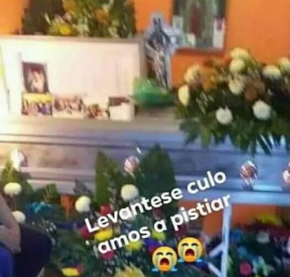 ale୨𝑒 tweet media