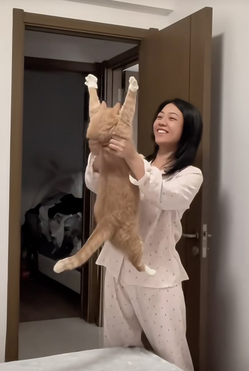 free2earnonline's tweet photo. A rainy Sunday calls for a snuggly cuddle with my fur baby — no plans, just warm blankets and purrs https://t.co/9lxQNNRUyg