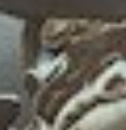 Jeffrey Jefferson Jeff The III. tweet media