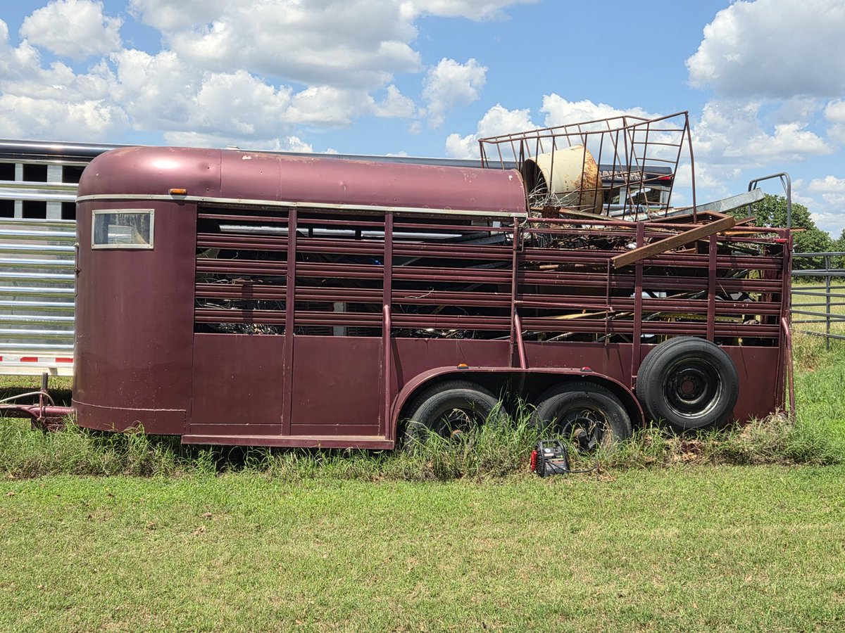 Parker Cattle tweet media