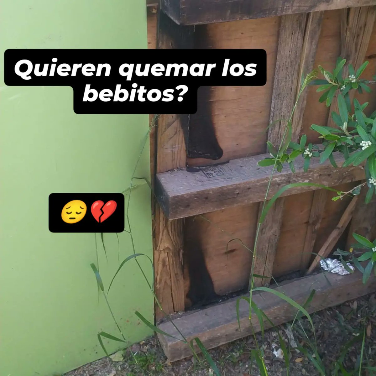 Colonias Marconi tweet media