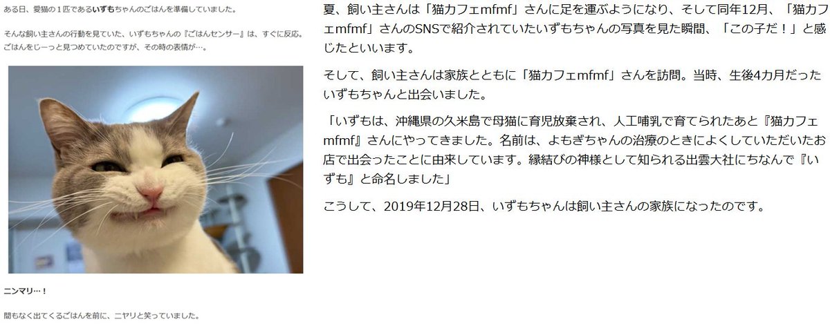 KKbeef's tweet photo. 調べてみたらいずもちゃんに悲しい過去、今はごはんを見て牙むき出しニンマリ顔になるけど幸せそうでよかったな～ https://t.co/tQvdXMykdC