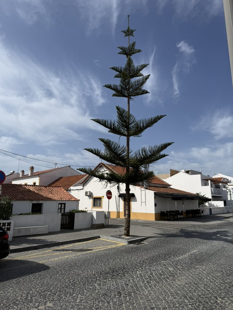 ryderzero's tweet photo. Vila Nova de Milfontes #portugal https://t.co/EqzvtWmBcf