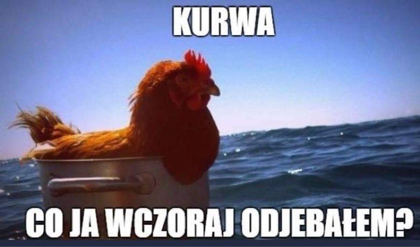 Yapa🇵🇱🇯🇵🇫🇮🇧🇪 tweet media